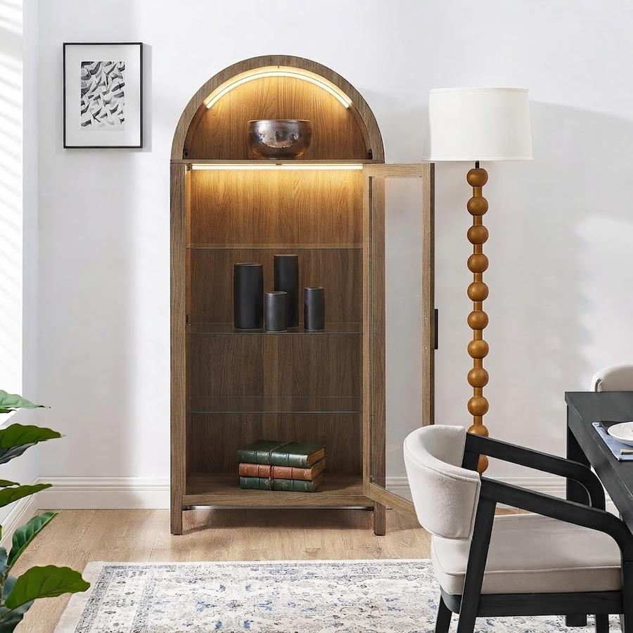 Glass Display Cabinet with Built-In Lamp